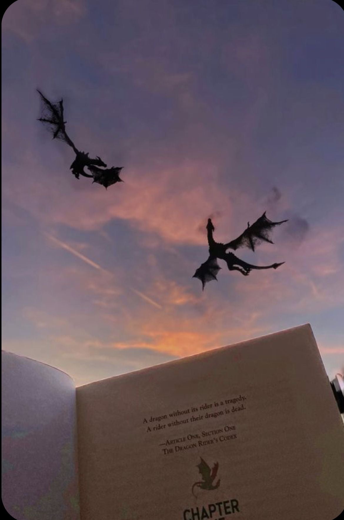 Dragon Kindle Inserts